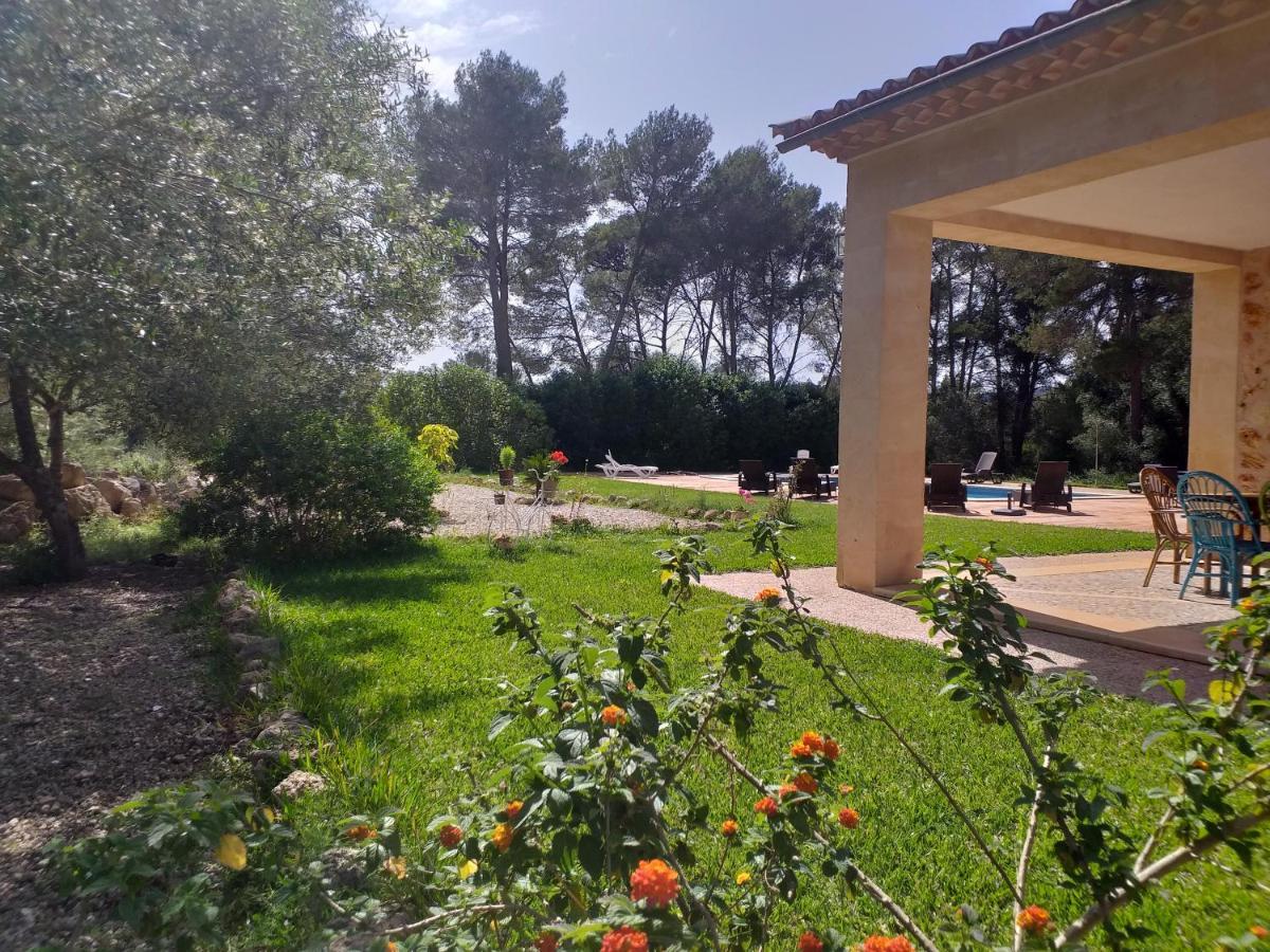 سينييس Villa Beatrice المظهر الخارجي الصورة